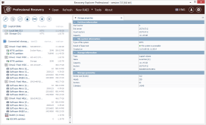 Recovery Explorer Professional